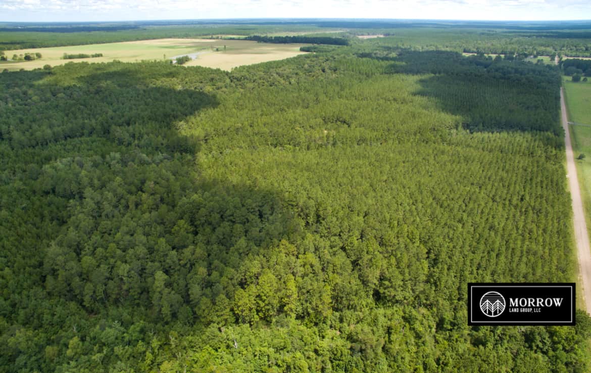 Hunting property for sale in south Louisiana
