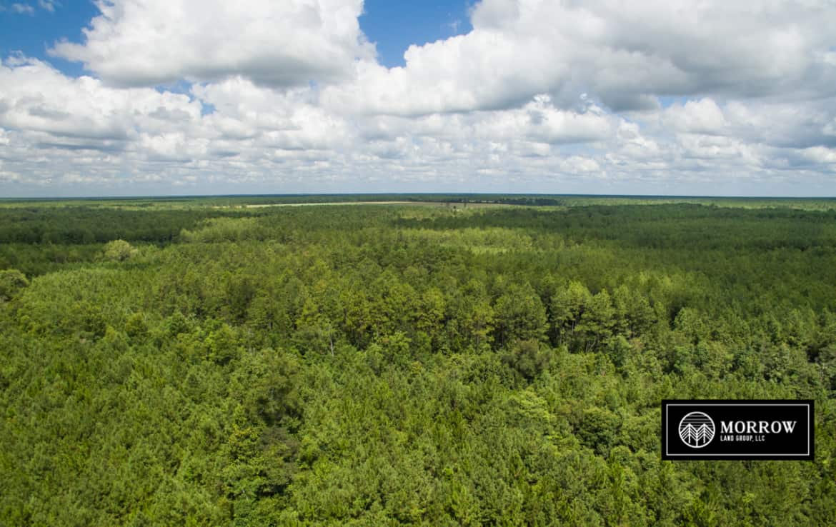 Hunting and timber property for sale near Lake Charles, Louisiana