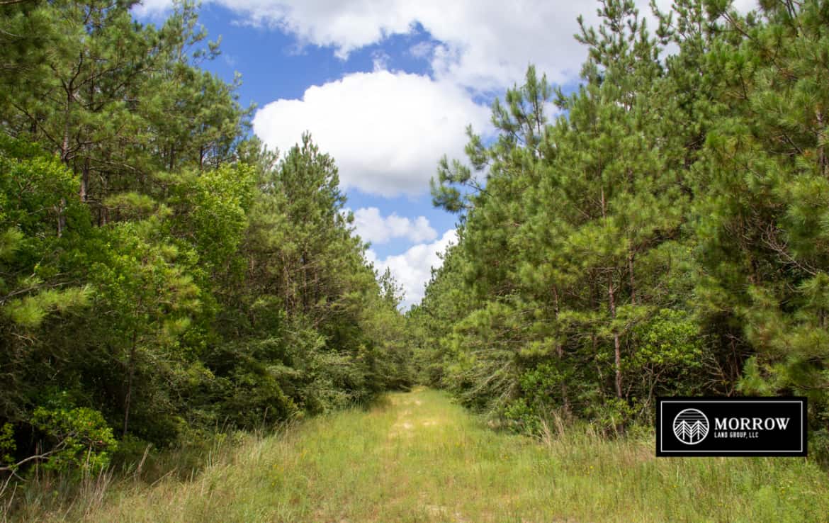 Hunting property for sale in Southwest Louisiana