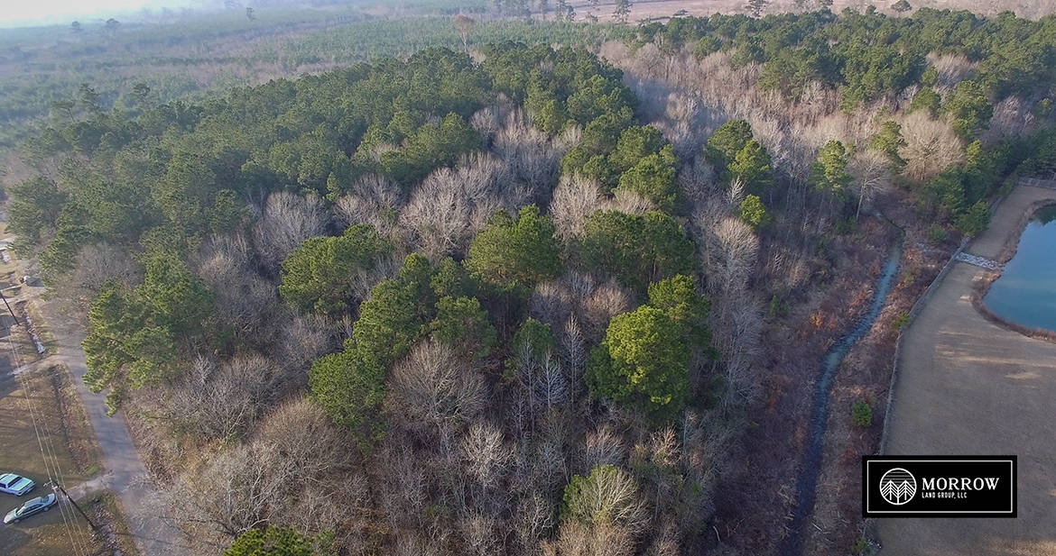 Land for sale in Louisiana