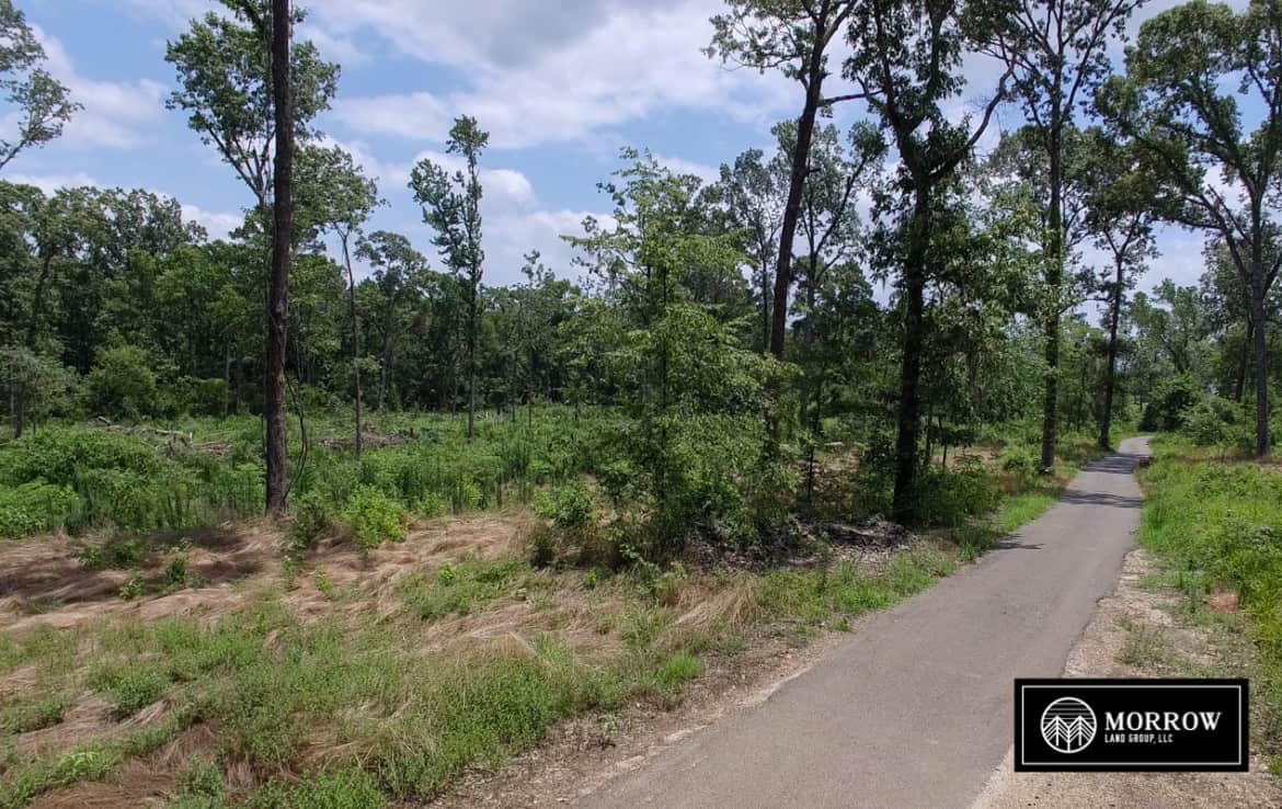 Land for sale in Louisiana