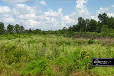 25 acres for sale near Robeline, Louisiana