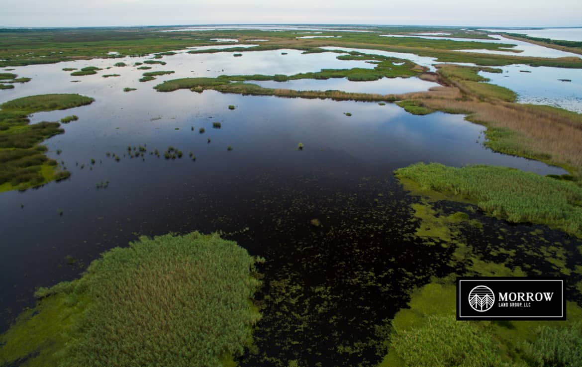 Freshwater marsh for sale in Louisiana
