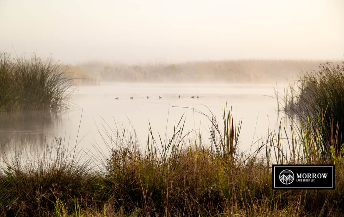 Duck hunting land for sale in Cameron Parish, Louisiana