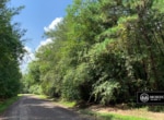 Briar Marsh Road 38 | Beauregard Parish, Louisiana