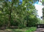 Briar Marsh Road 38 | Beauregard Parish, Louisiana