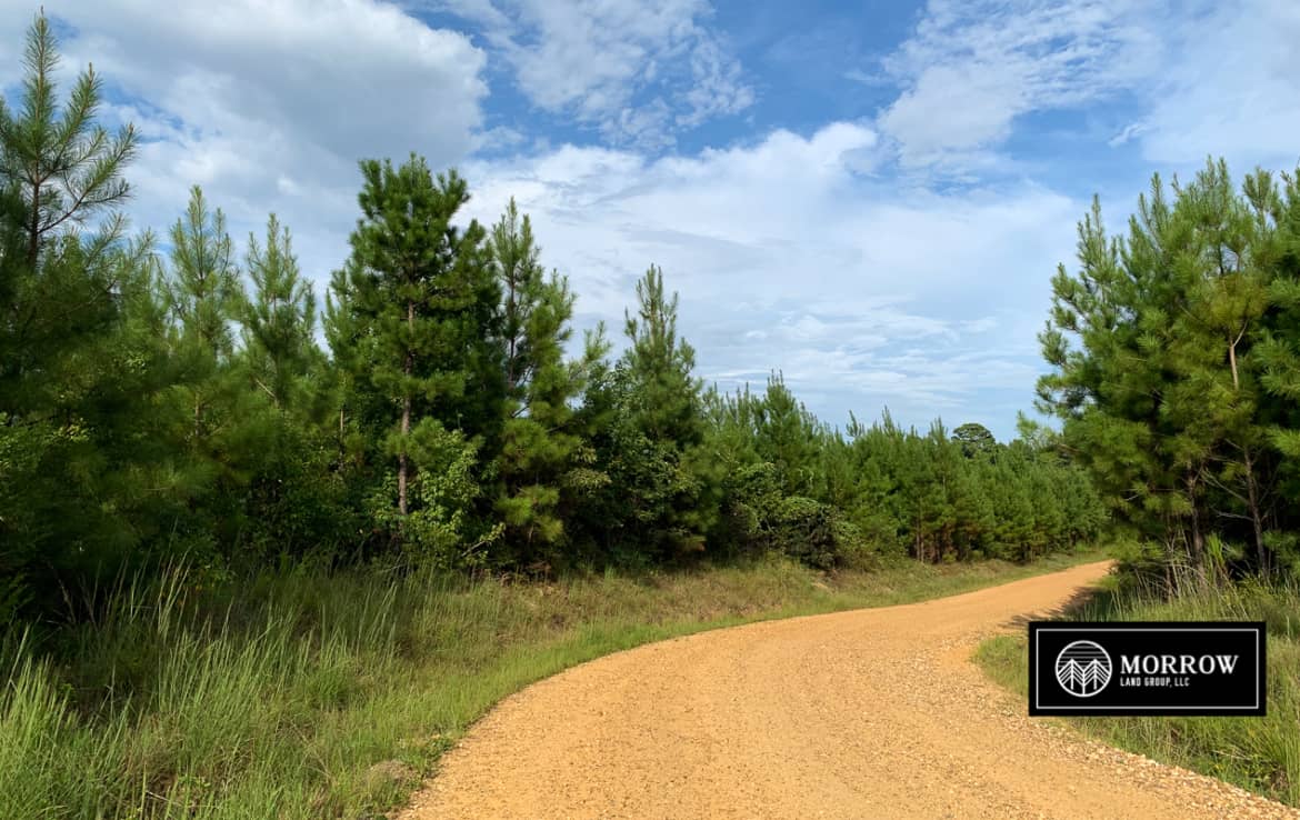 Timber property for sale in Vernon Parish, Louisiana