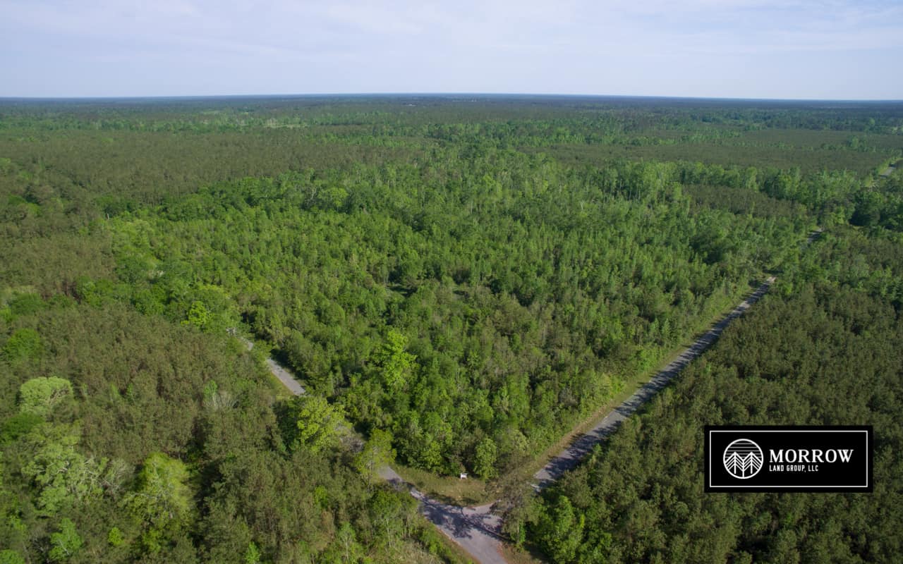 Land for sale in Beauregard Parish