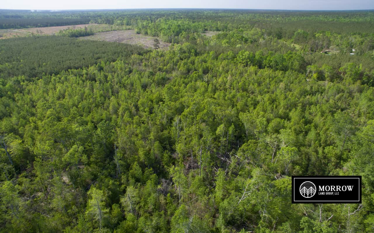 Land for sale in Beauregard Parish