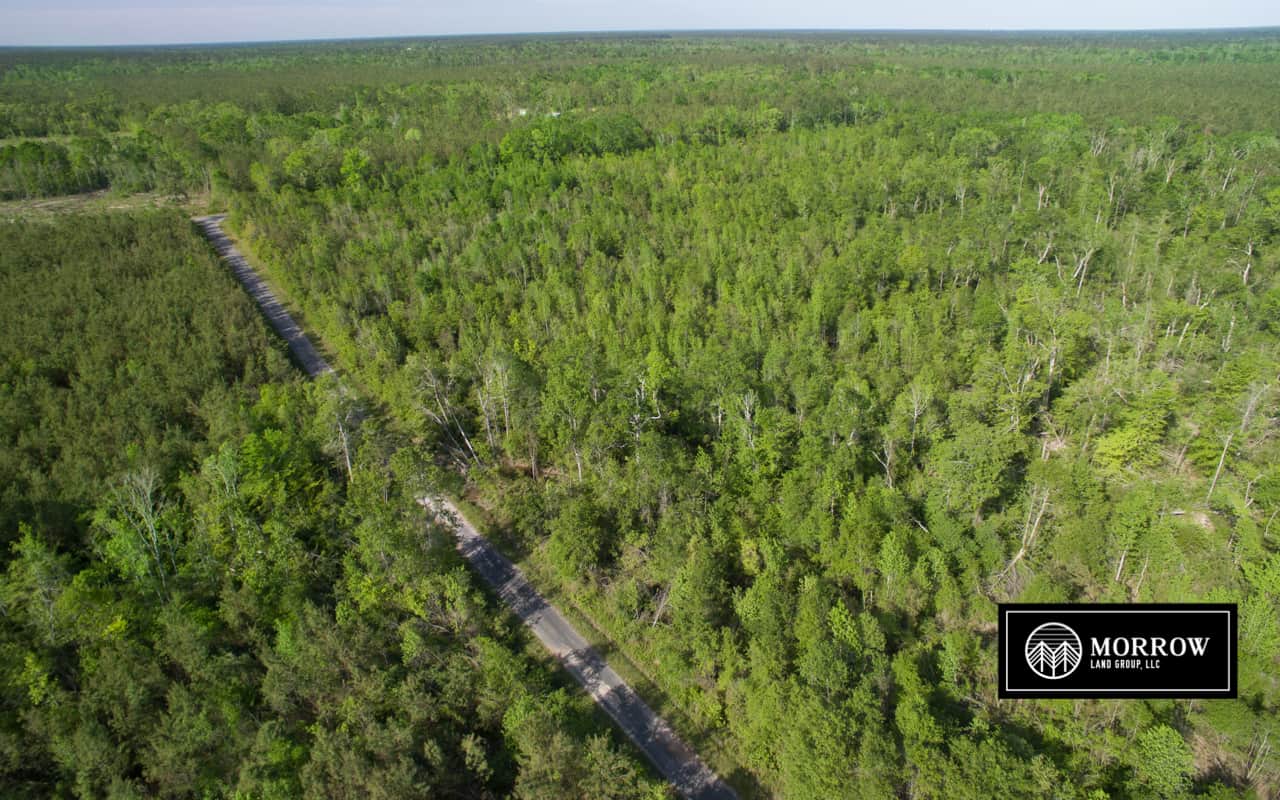 Land for sale in Beauregard Parish