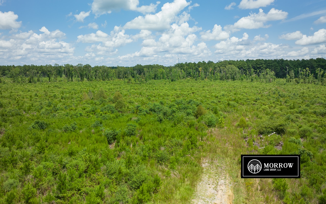 Land for Sale - Morrow Land Group, LLC