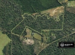 Newton County | Caney Creek Tract