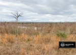 Sabine Preserve
