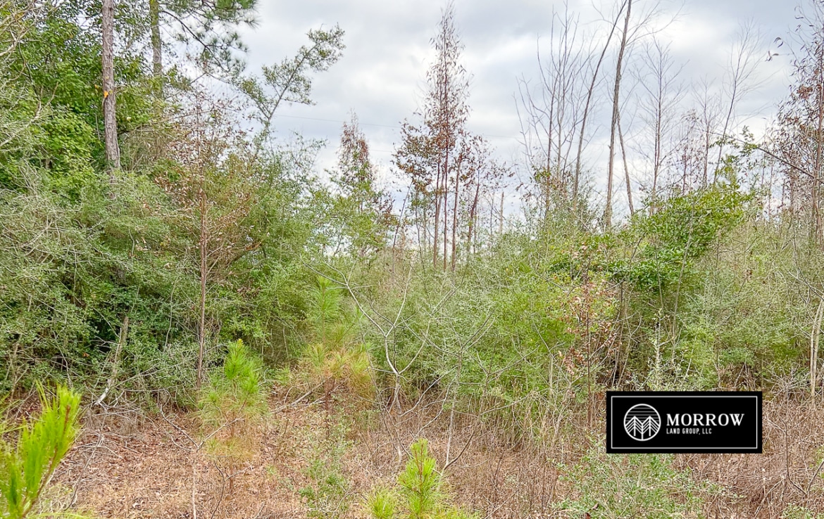 Land for sale in Newton County, TX