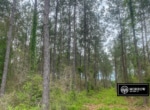 Jasper County | Beulah Springs Tract