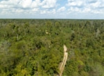 Socagee Tract in Panola County, TX