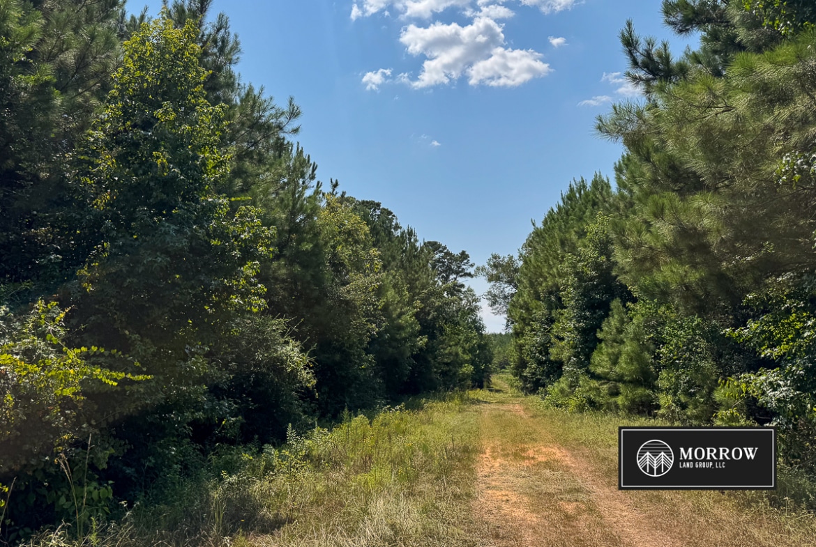 Chinanook Road Tract in Bossier Parish, LA