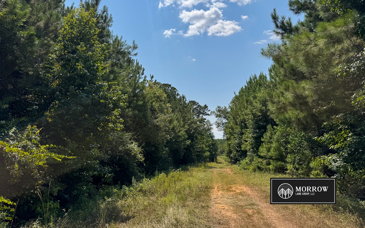 Chinanook Road Tract in Bossier Parish, LA