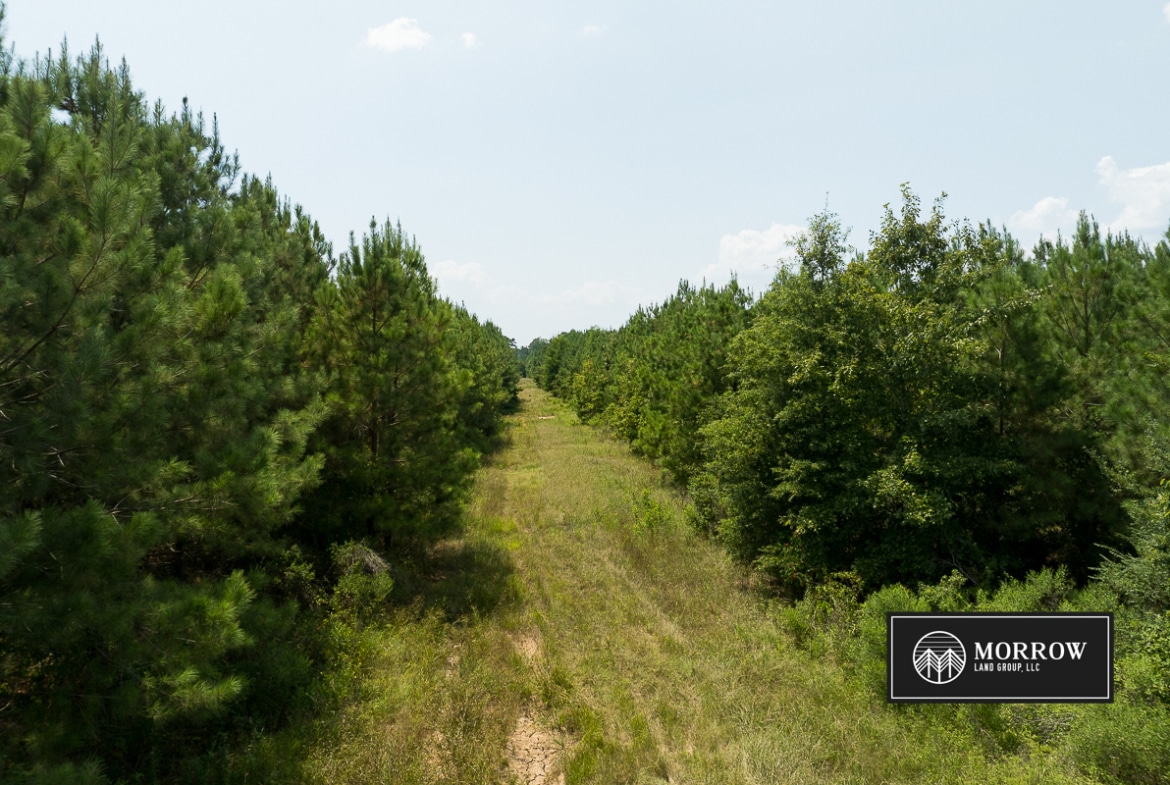 Chinanook Road Tract in Bossier Parish, LA
