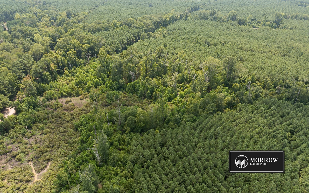 Chinanook Road Tract in Bossier Parish, LA