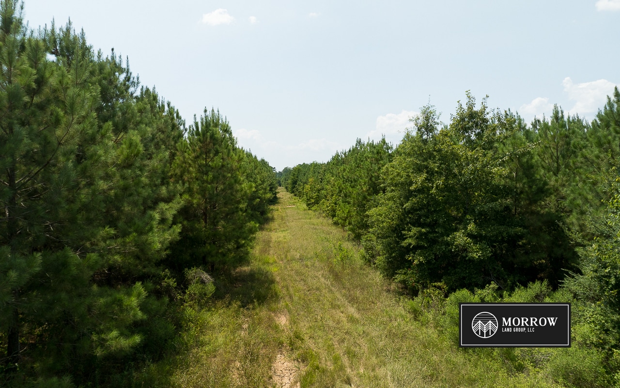 Chinanook Road Tract in Bossier Parish, LA