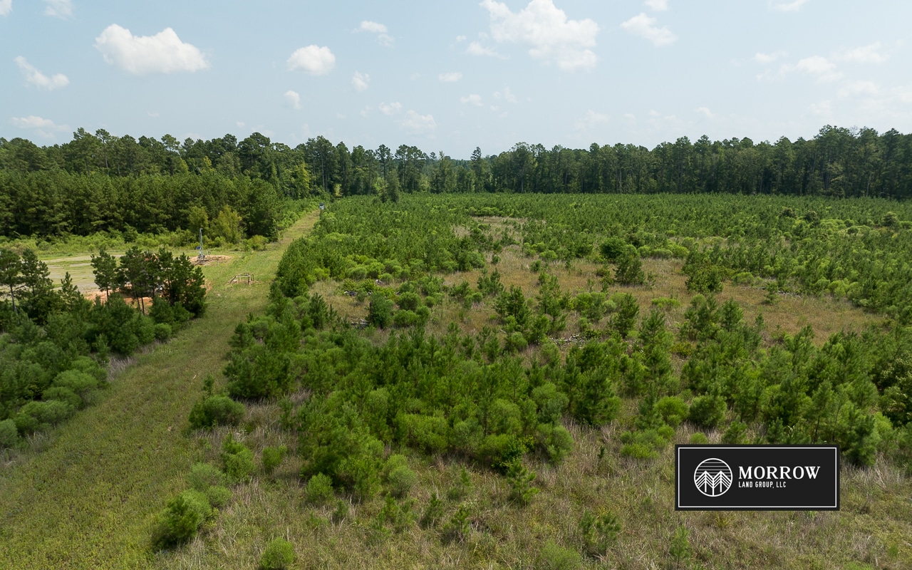 Cosby Road Tract in Bossier Parish, LA