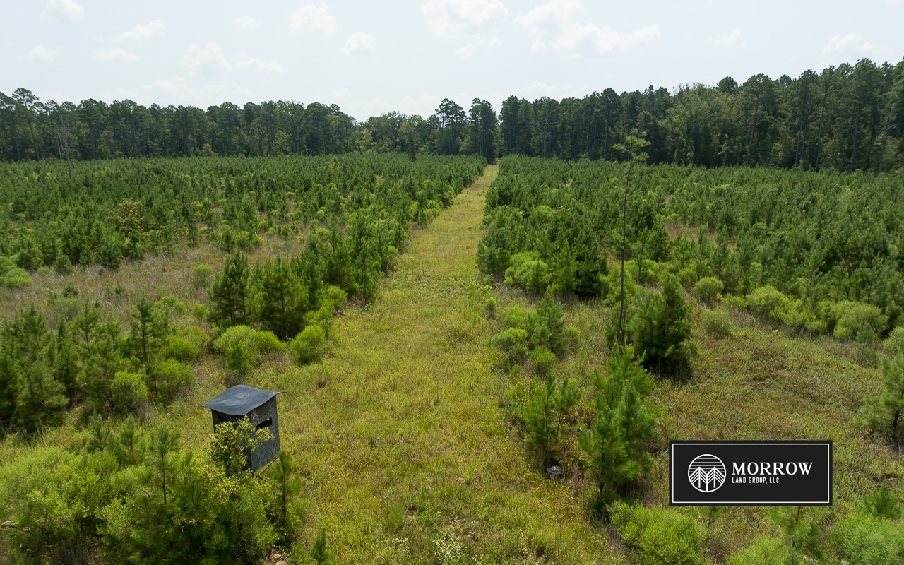 Cosby Road Tract in Bossier Parish, LA
