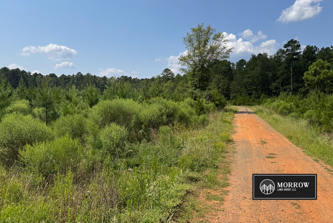 Cosby Road Tract in Bossier Parish, LA