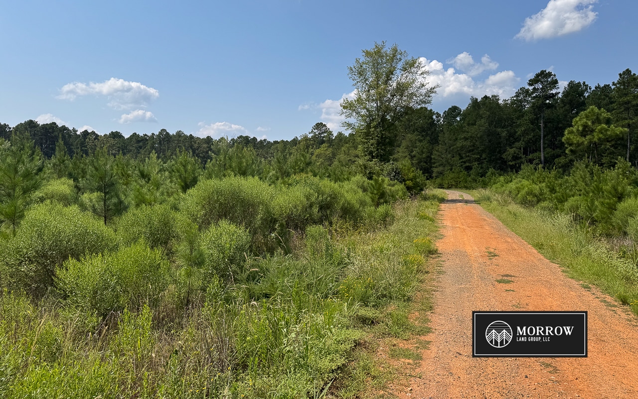 Cosby Road Tract in Bossier Parish, LA