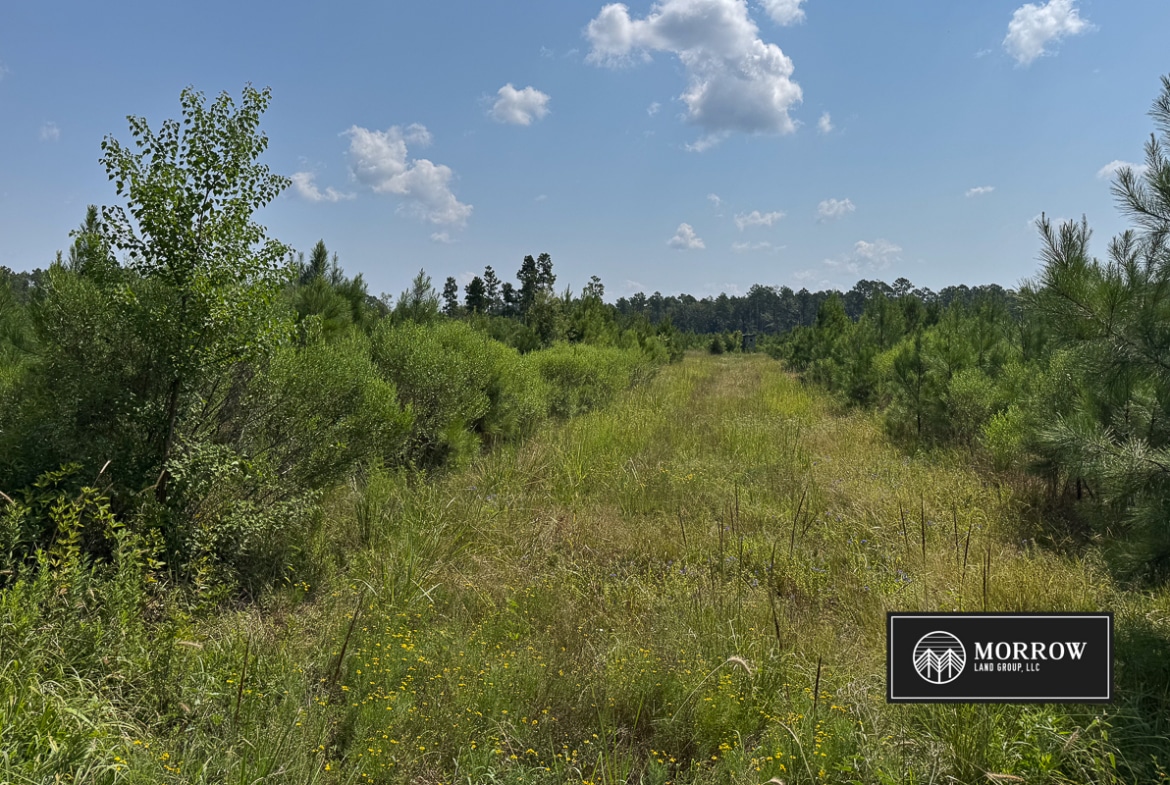 Cosby Road Tract in Bossier Parish, LA