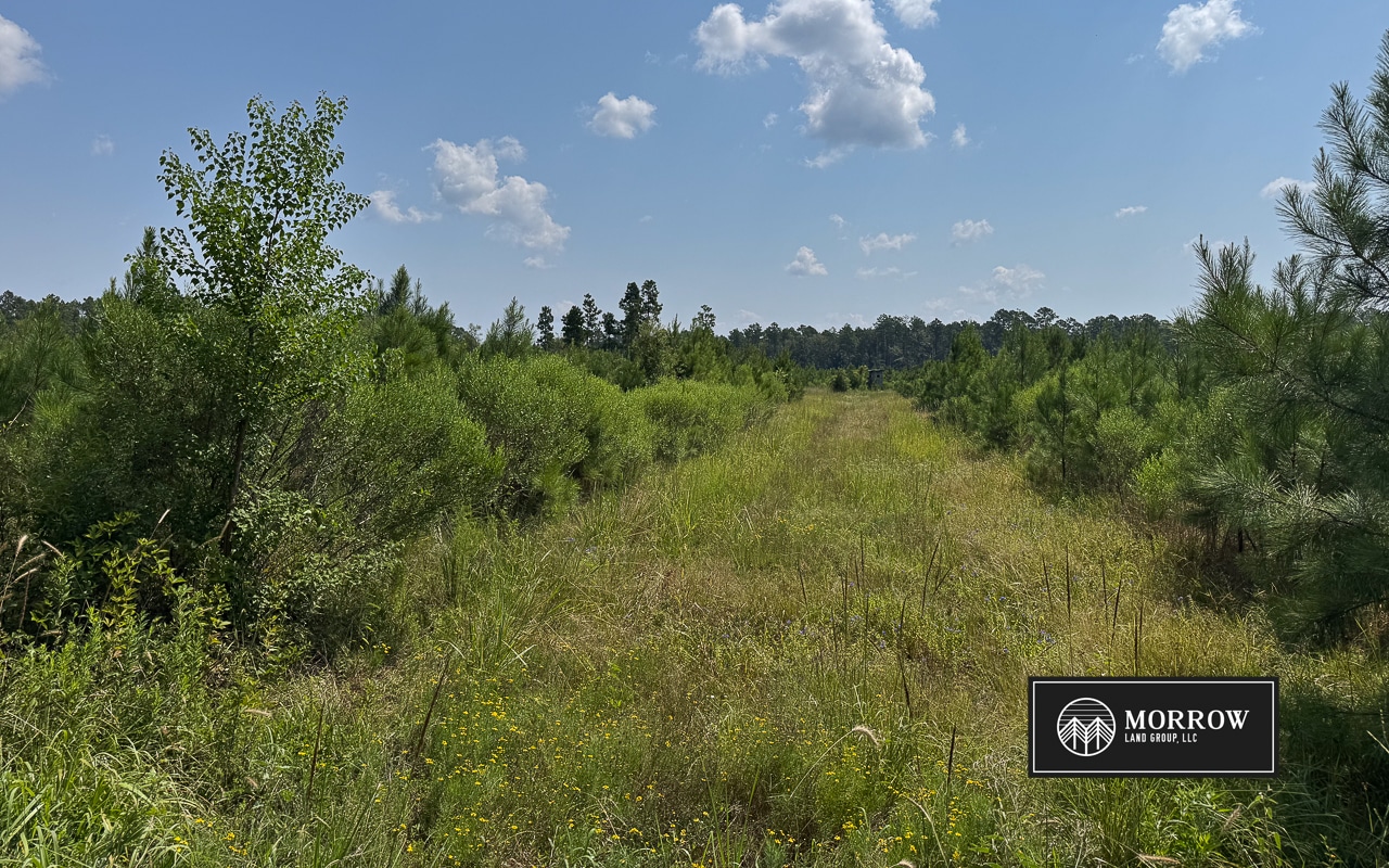 Cosby Road Tract in Bossier Parish, LA