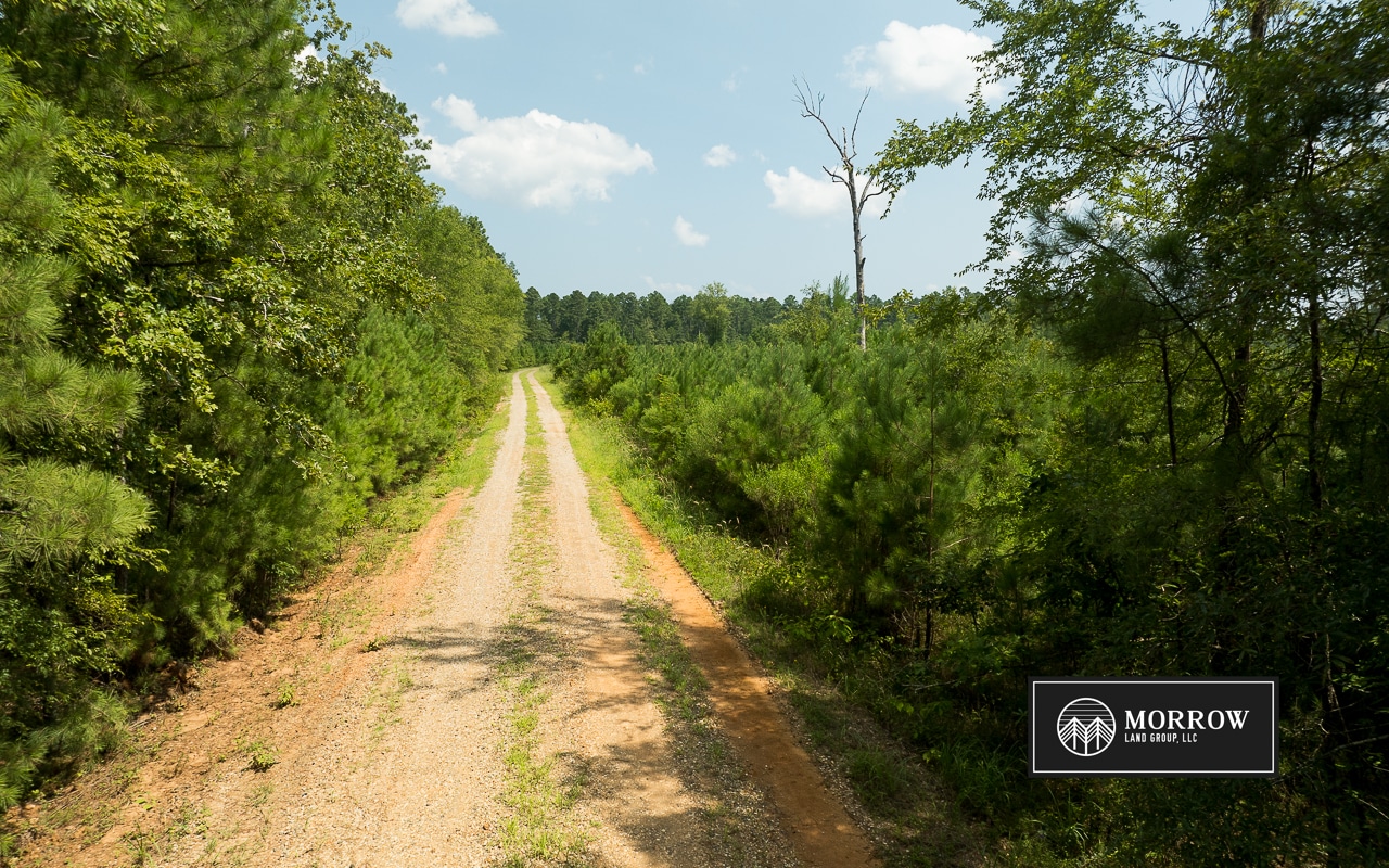 Cosby Road Tract in Bossier Parish, LA