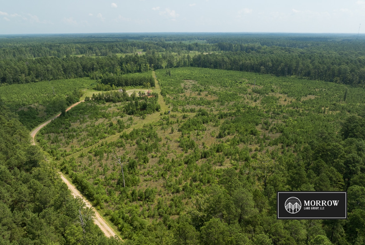 Cosby Road Tract in Bossier Parish, LA
