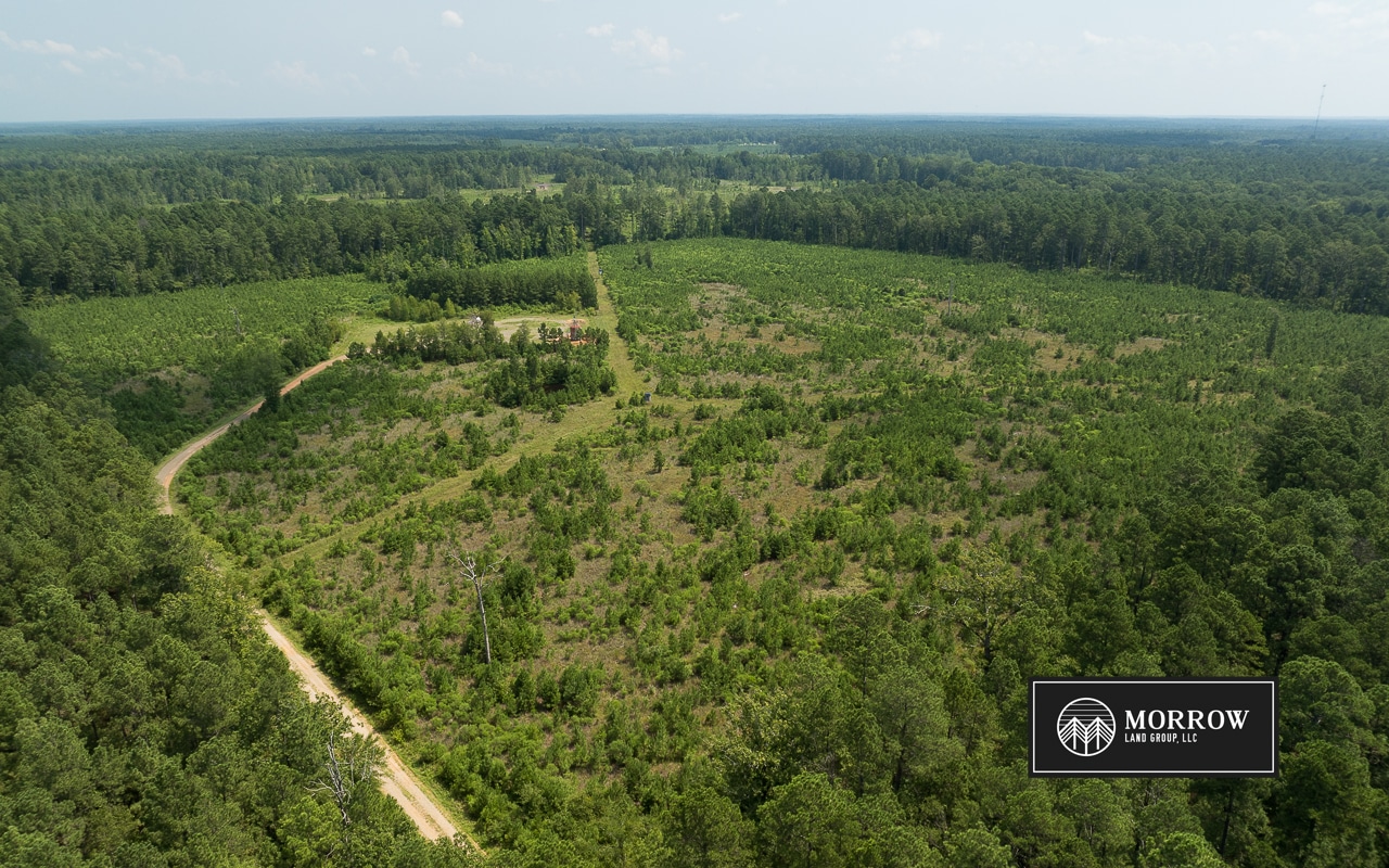 Cosby Road Tract in Bossier Parish, LA