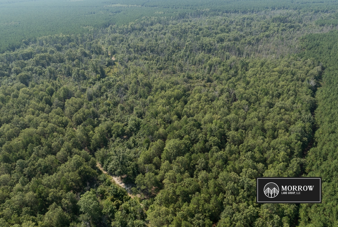 Crossway Slough Tract in Bossier Parish, LA