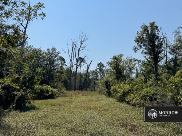 Crossway Slough Tract in Bossier Parish, LA