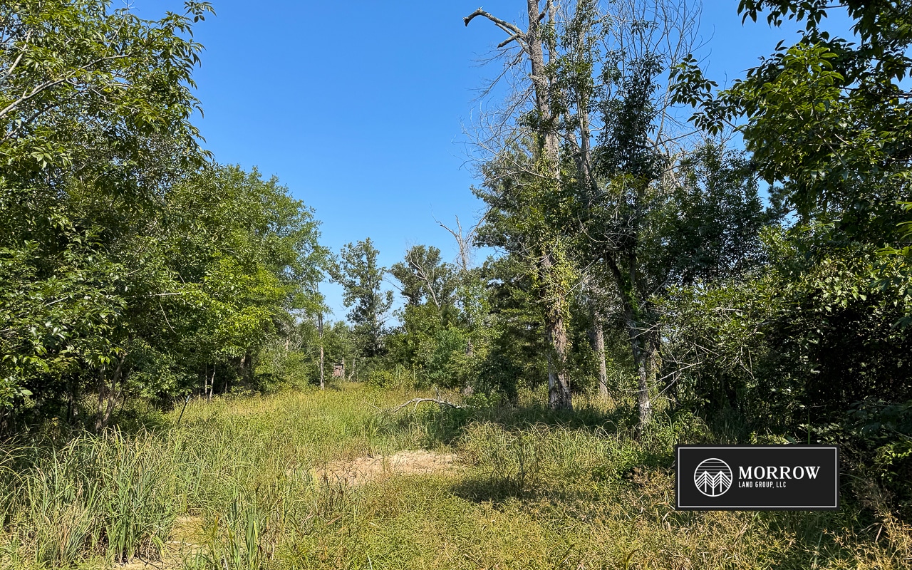Crossway Slough Tract in Bossier Parish, LA