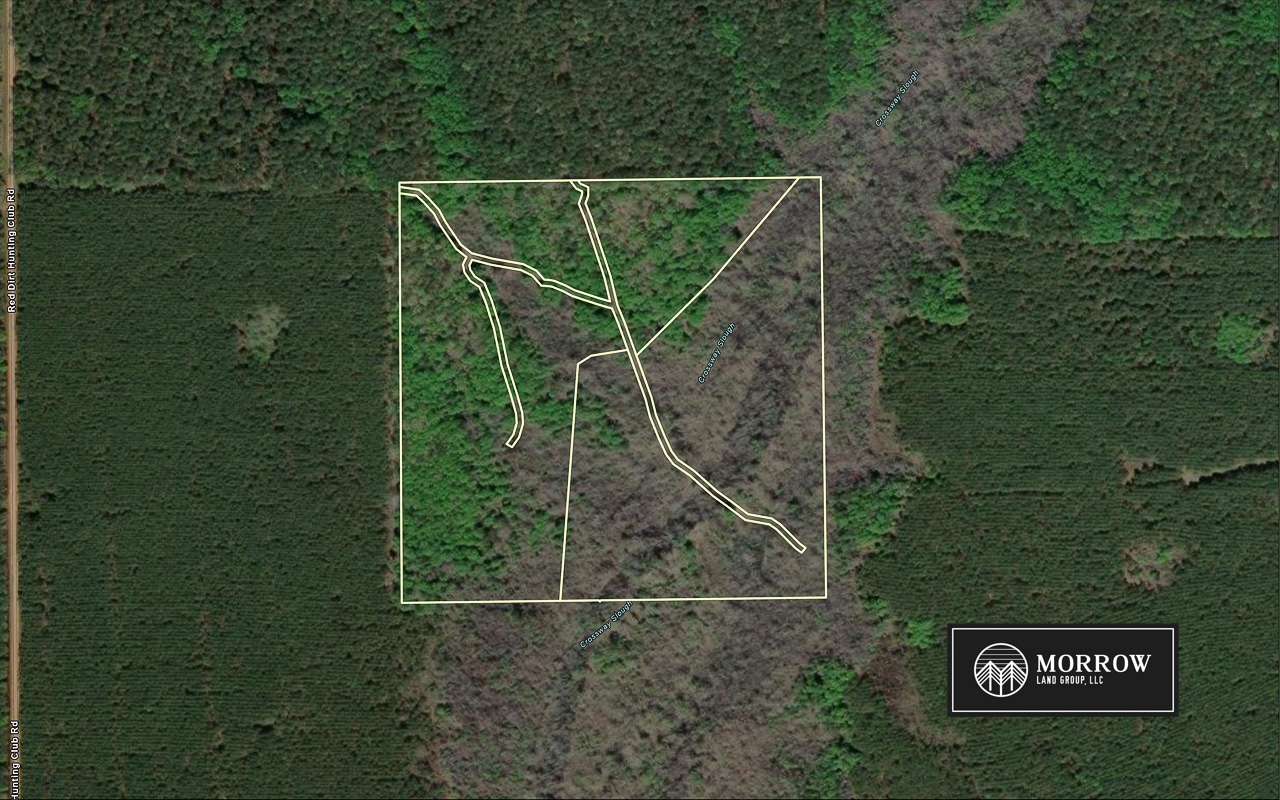 Crossway Slough Tract in Bossier Parish, LA