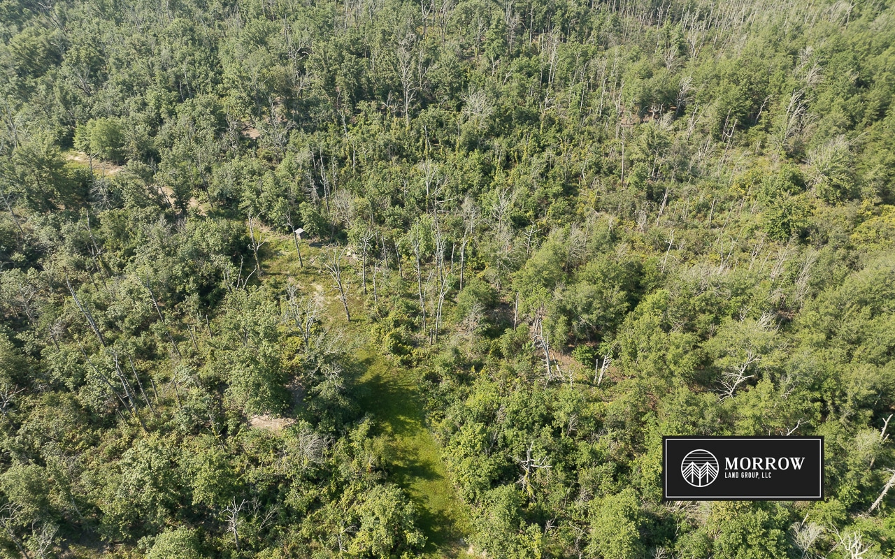 Crossway Slough Tract in Bossier Parish, LA