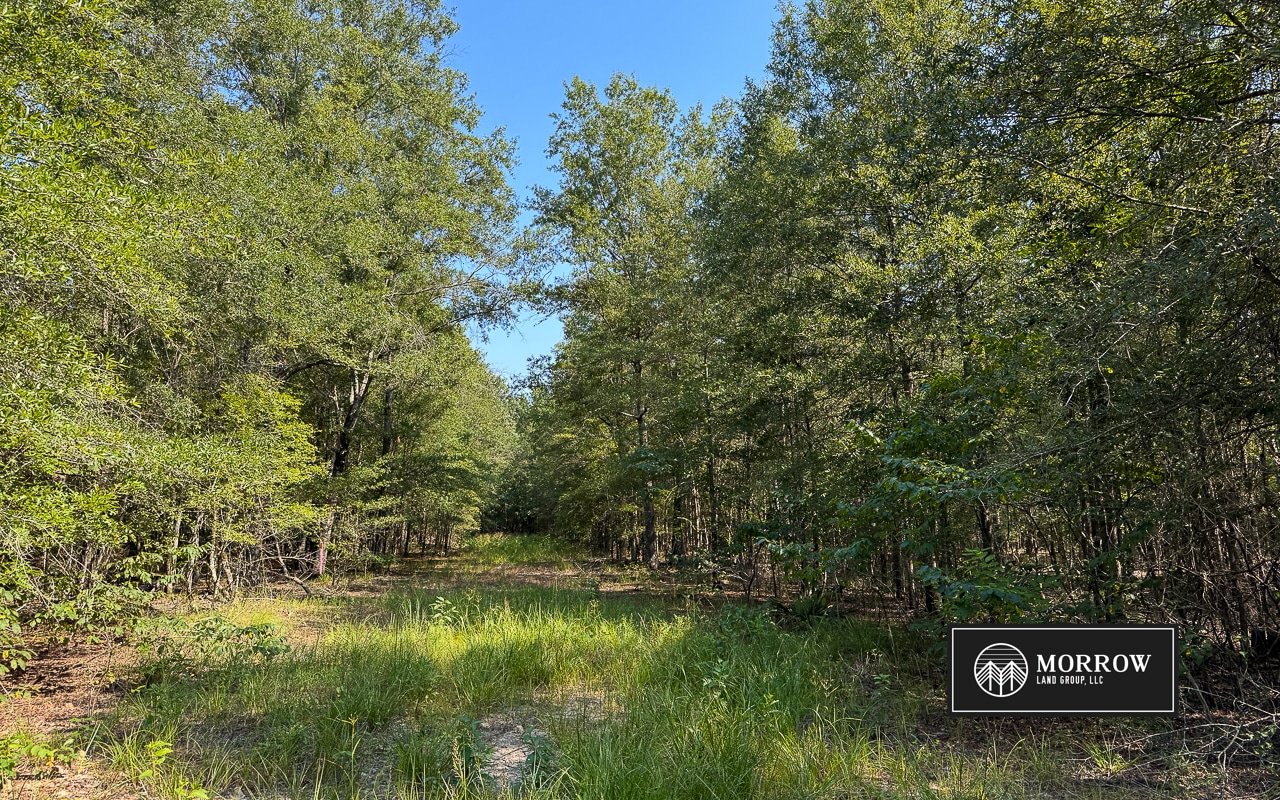 Crossway Slough Tract in Bossier Parish, LA