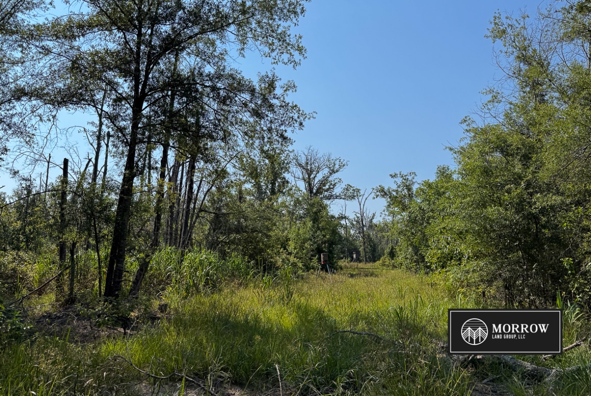 Crossway Slough Tract in Bossier Parish, LA