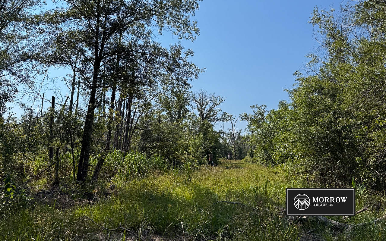 Crossway Slough Tract in Bossier Parish, LA