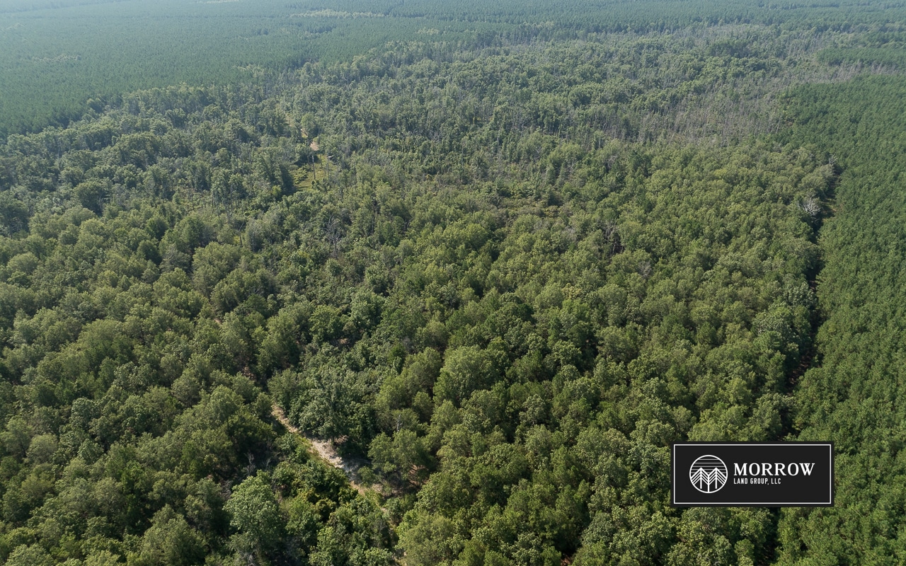 Crossway Slough Tract in Bossier Parish, LA