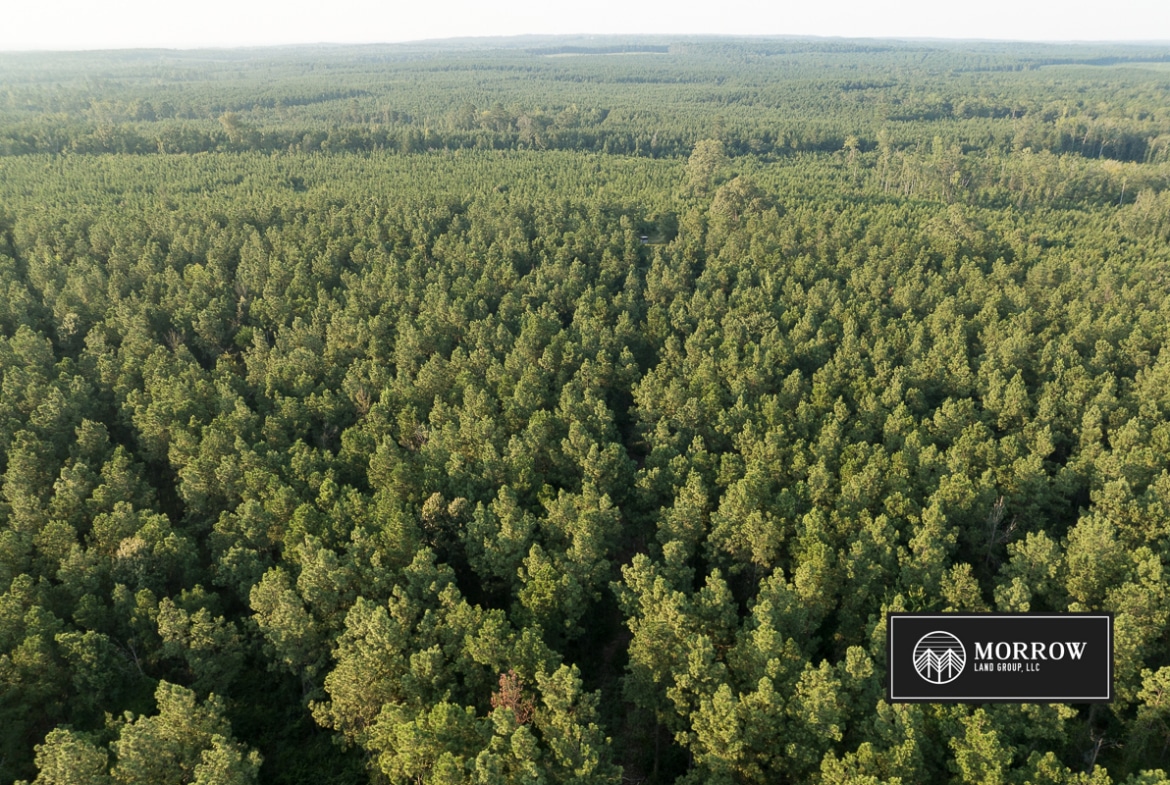 Dutch John Tract in Bossier Parish, LA