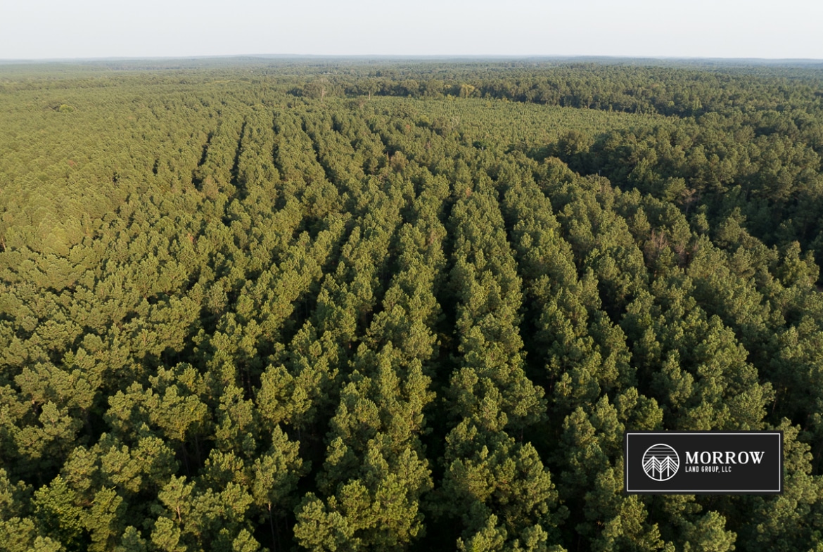 Dutch John Tract in Bossier Parish, LA