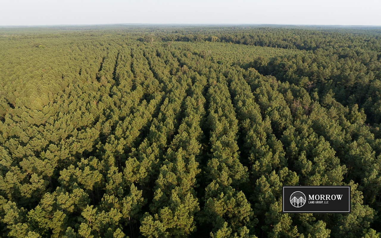 Dutch John Tract in Bossier Parish, LA