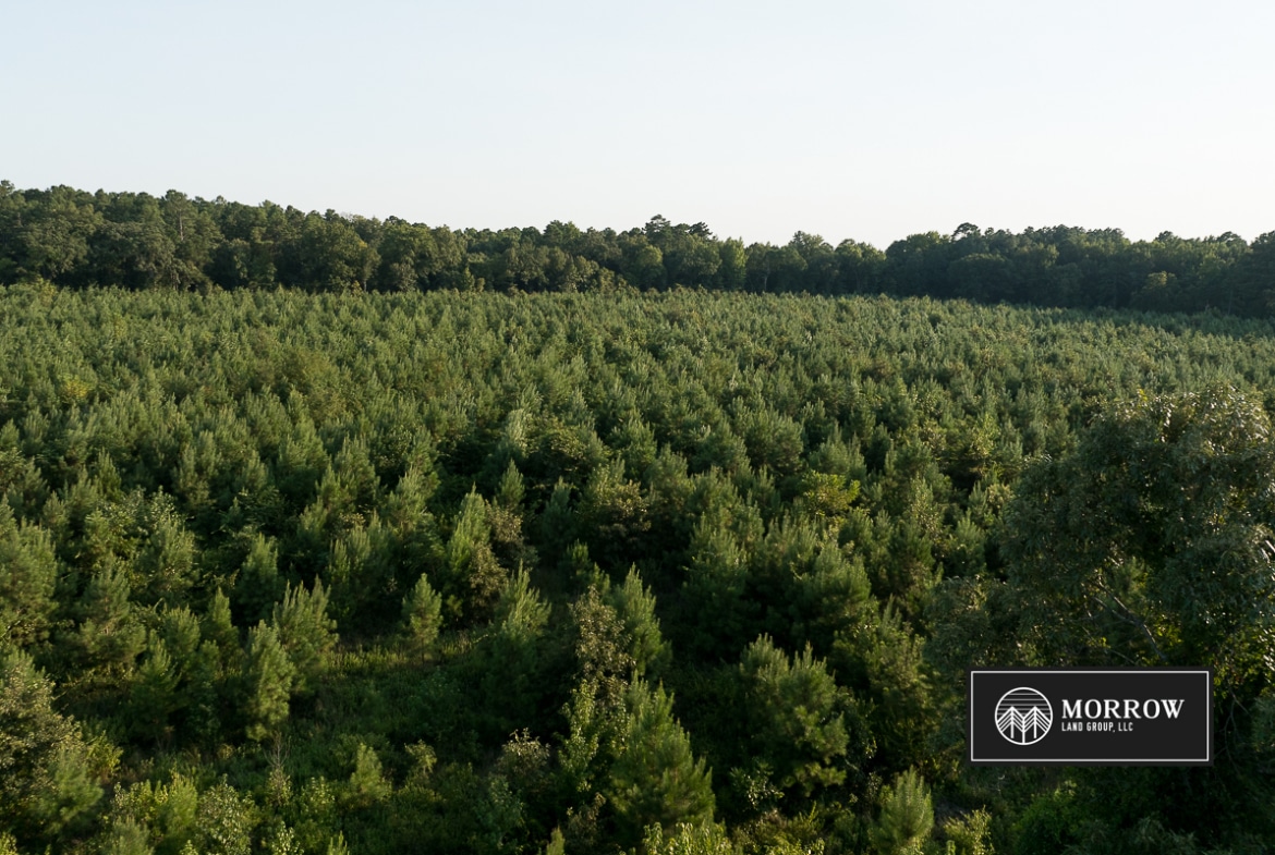 Dutch John Tract in Bossier Parish, LA