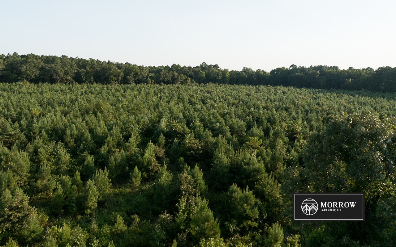 Dutch John Tract in Bossier Parish, LA