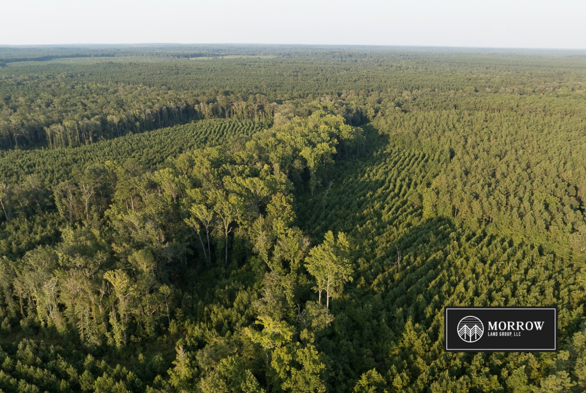 Dutch John Tract in Bossier Parish, LA