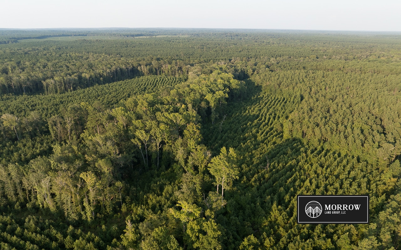 Dutch John Tract in Bossier Parish, LA
